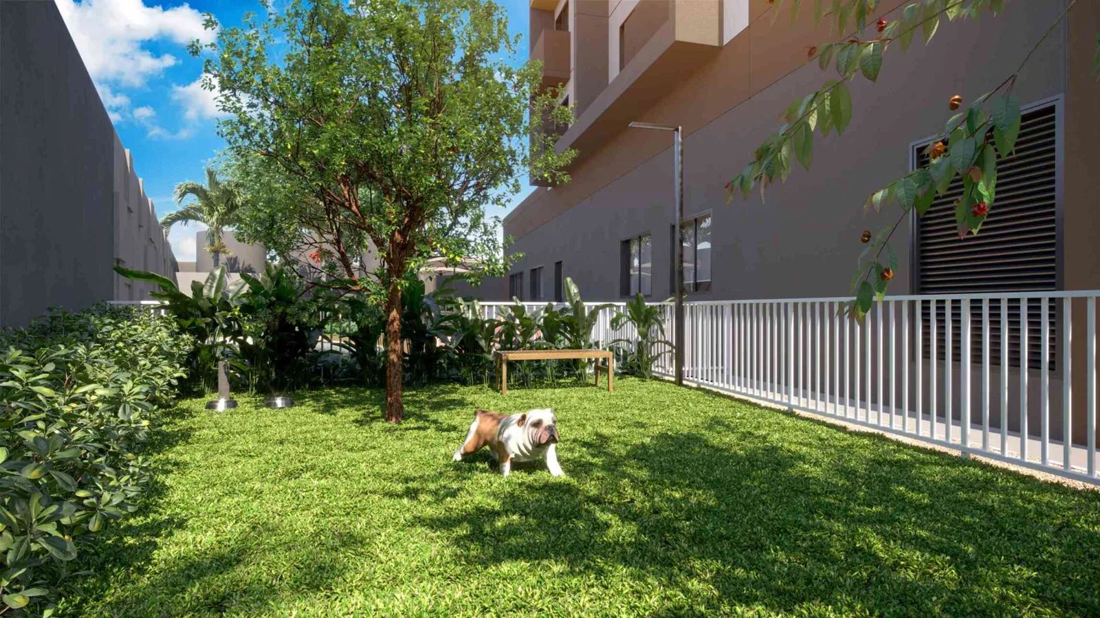 Essencial Faria Lima — Pet place