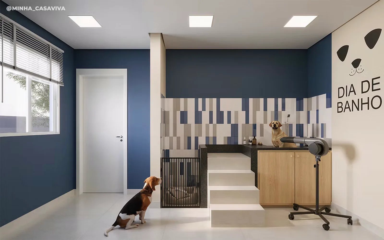 History Atlântica — Pet care