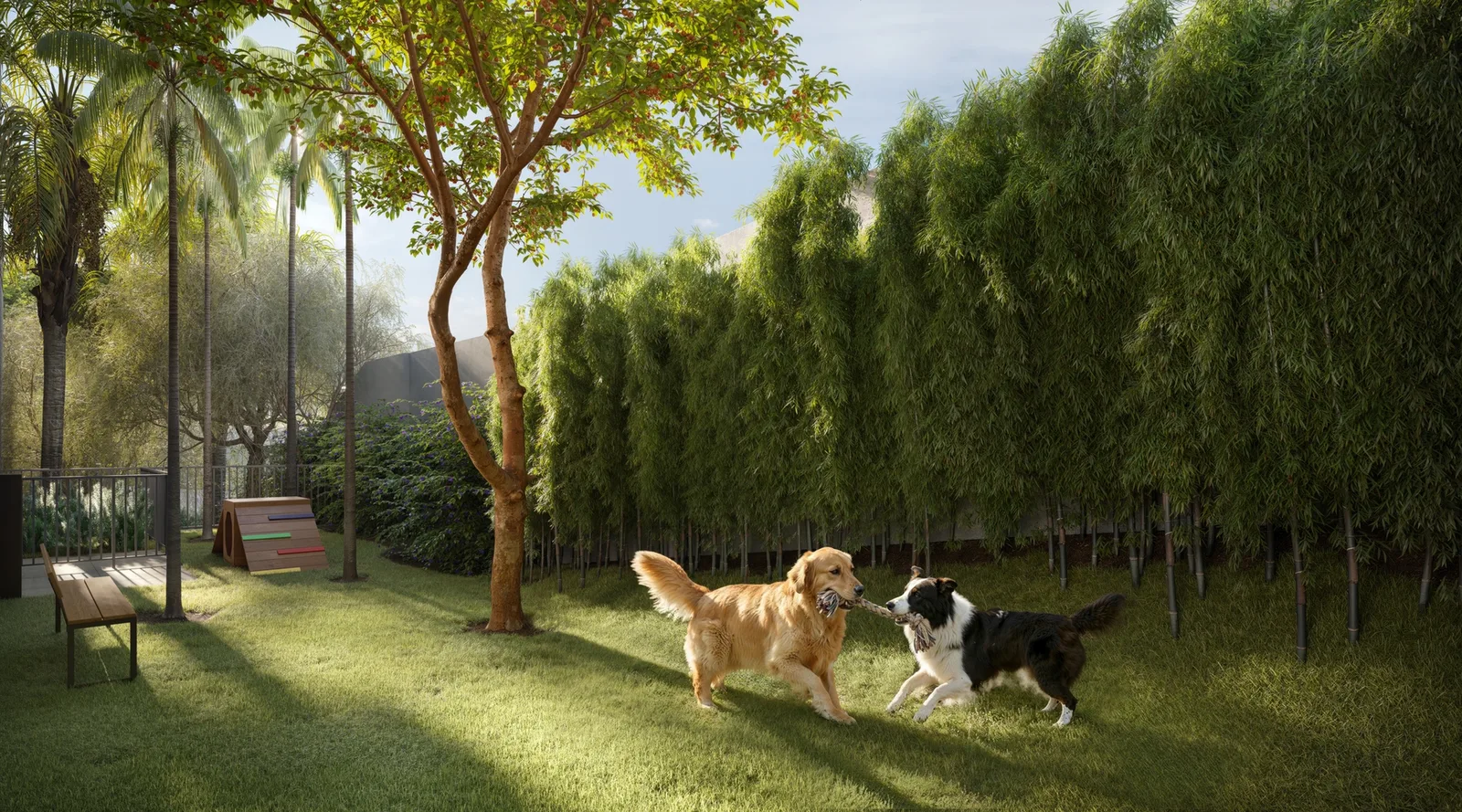 Oásis Santa Cruz by Diálogo - Residencial — 260 pet place