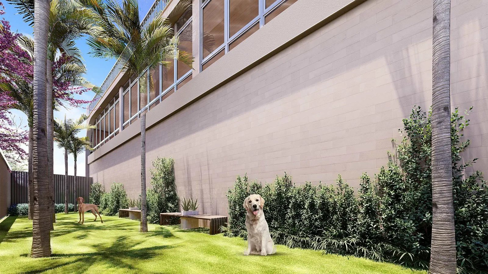 Legacy Guedala — Pet place