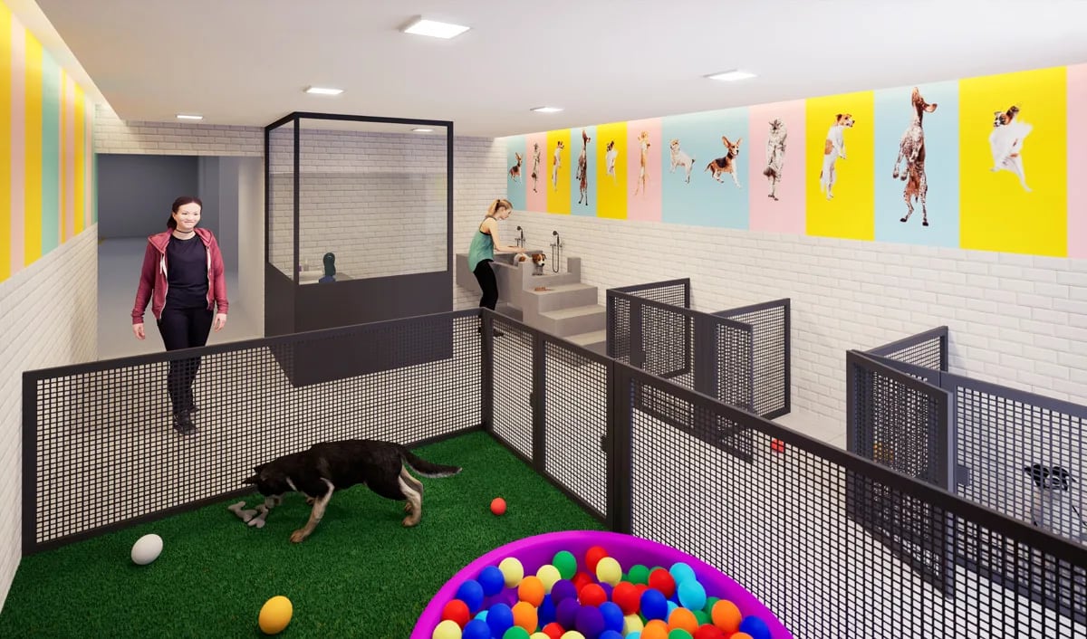 Vista 553 — Pet place