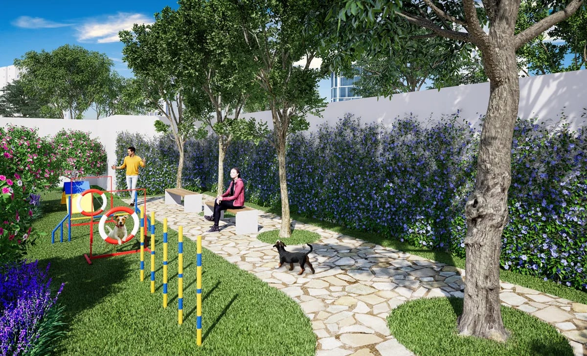 Vista 553 — Pet place