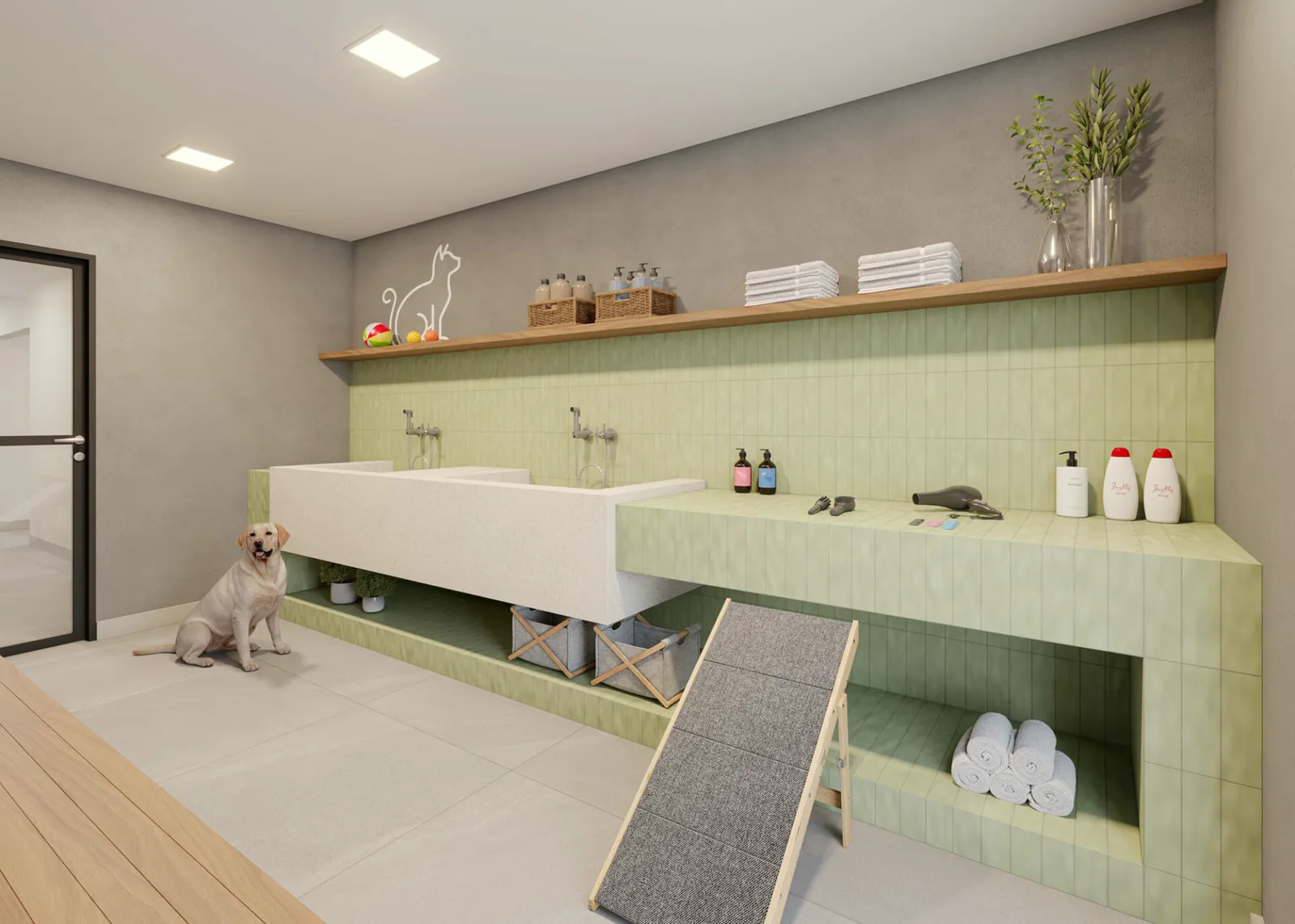 Arvo Teixeira da Silva — Pet care