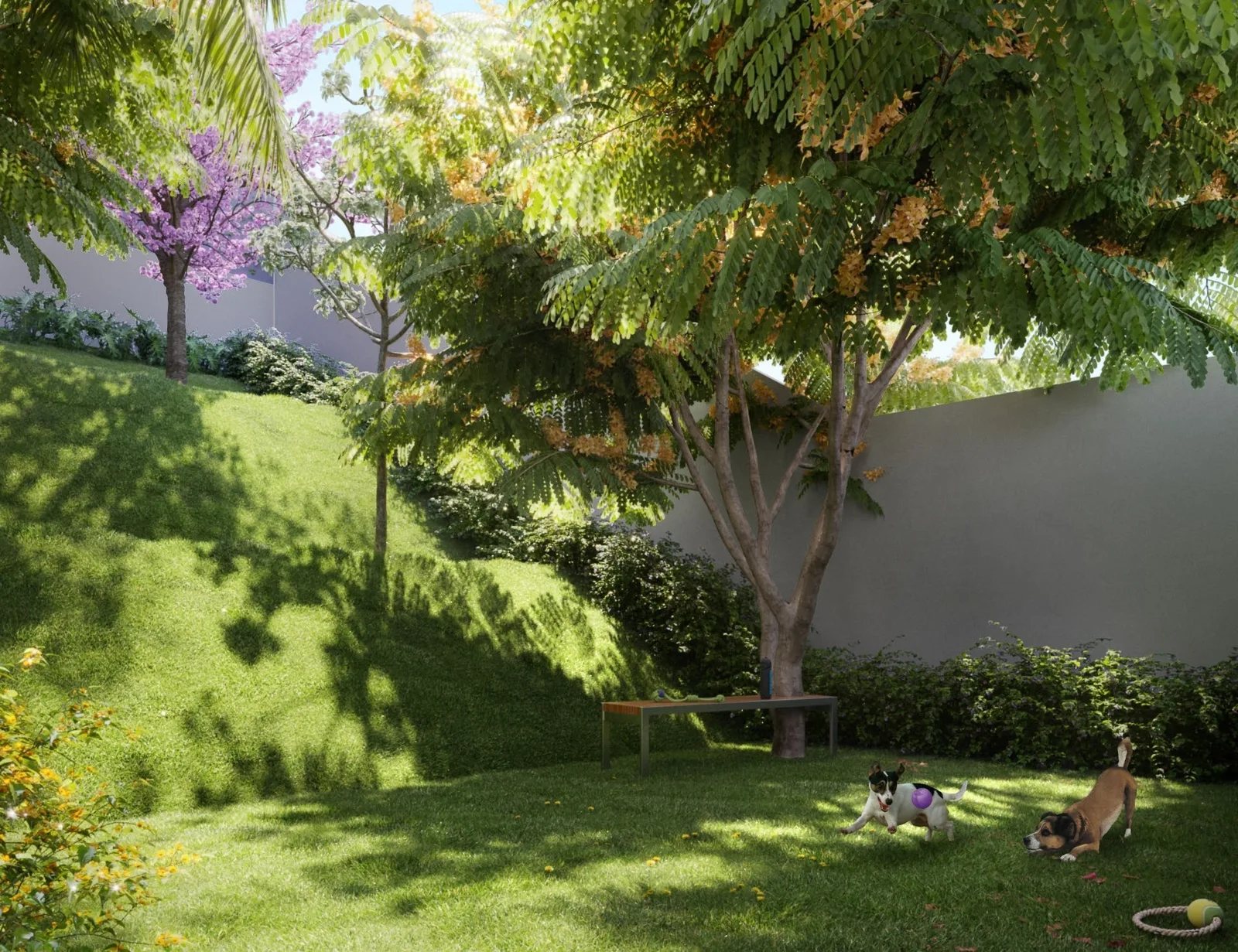 Cult Vila Mariana — Pet place
