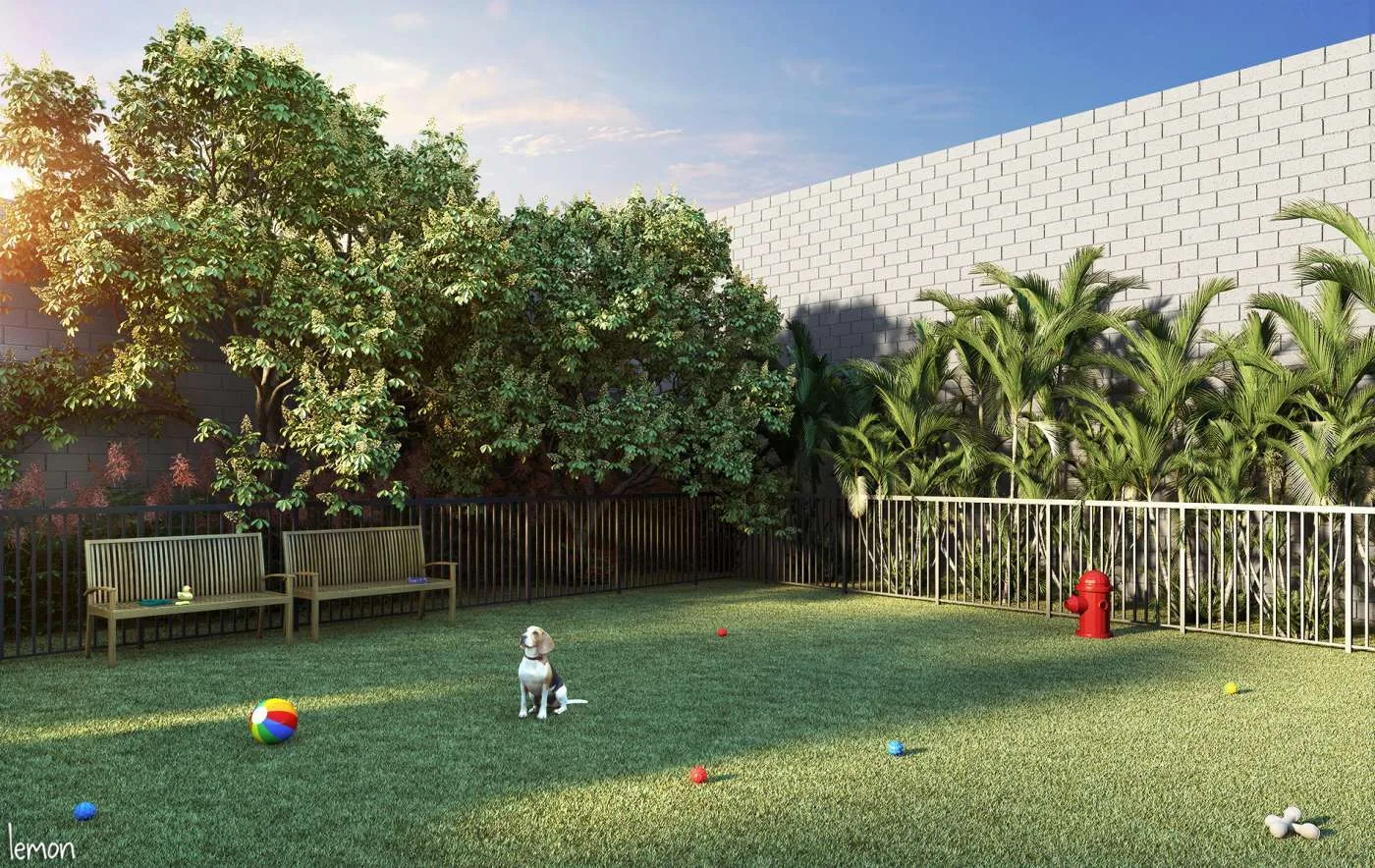 Inter Kazzas Interlagos — Pet place