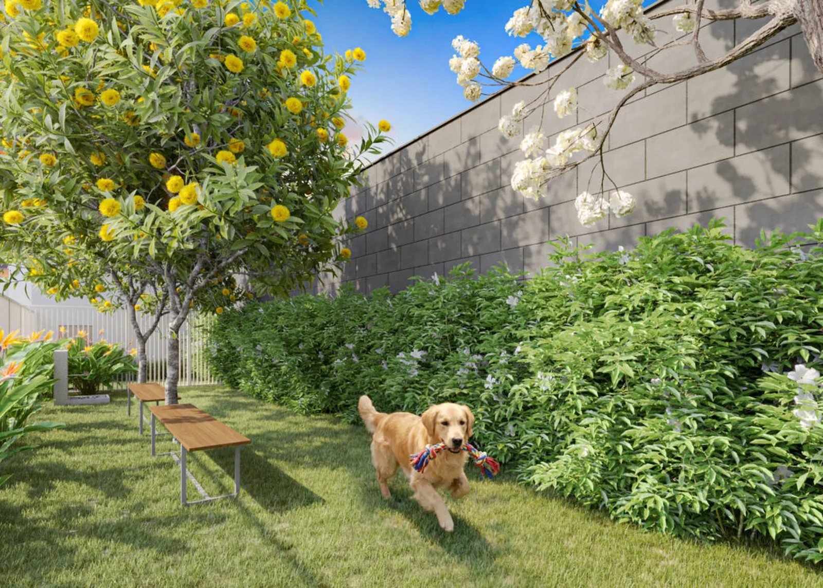 Kazzas Santo Amaro — 260 pet place