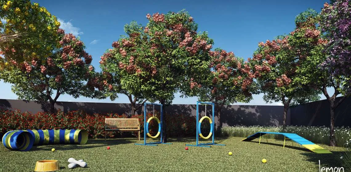 KZ Vision Freguesia — Pet place