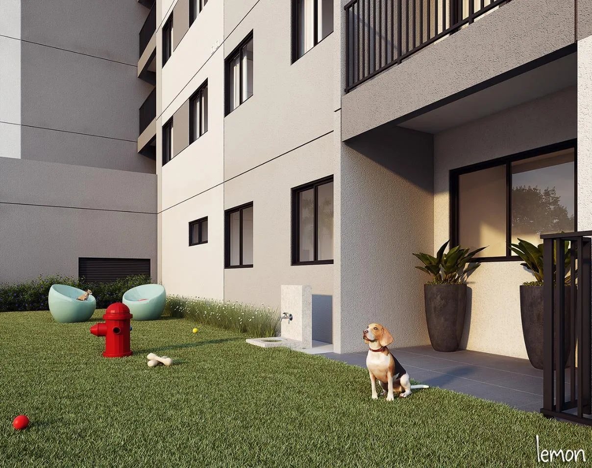 Neo Kazzas Lapa — Pet place