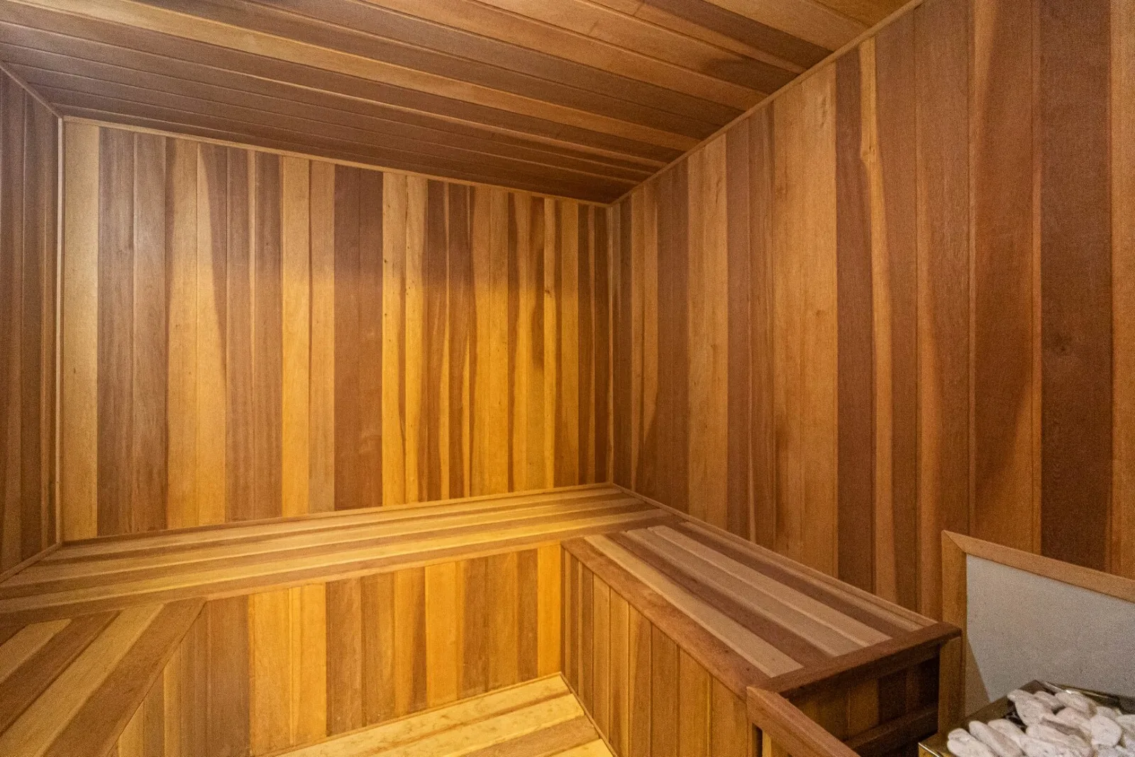 Celebrity — Sauna