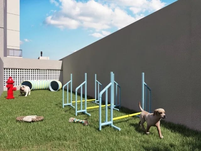 Vert MBigucci — Pet place