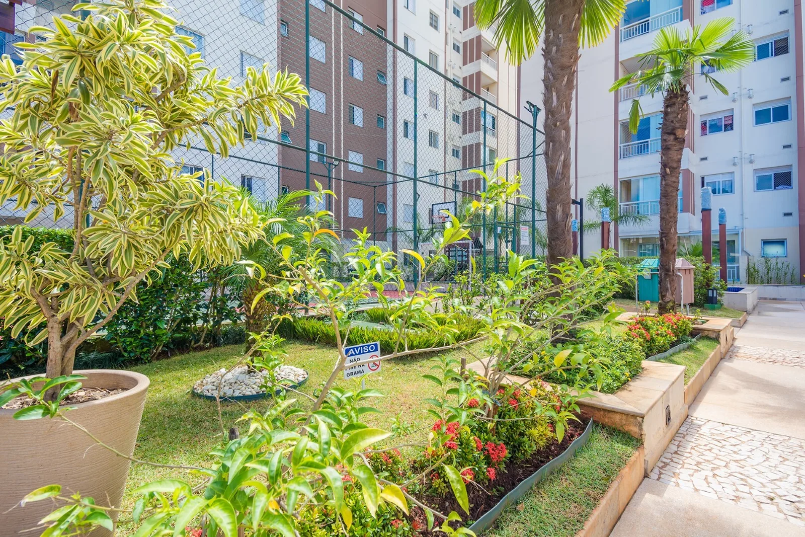 Olimpic MBigucci — Jardim