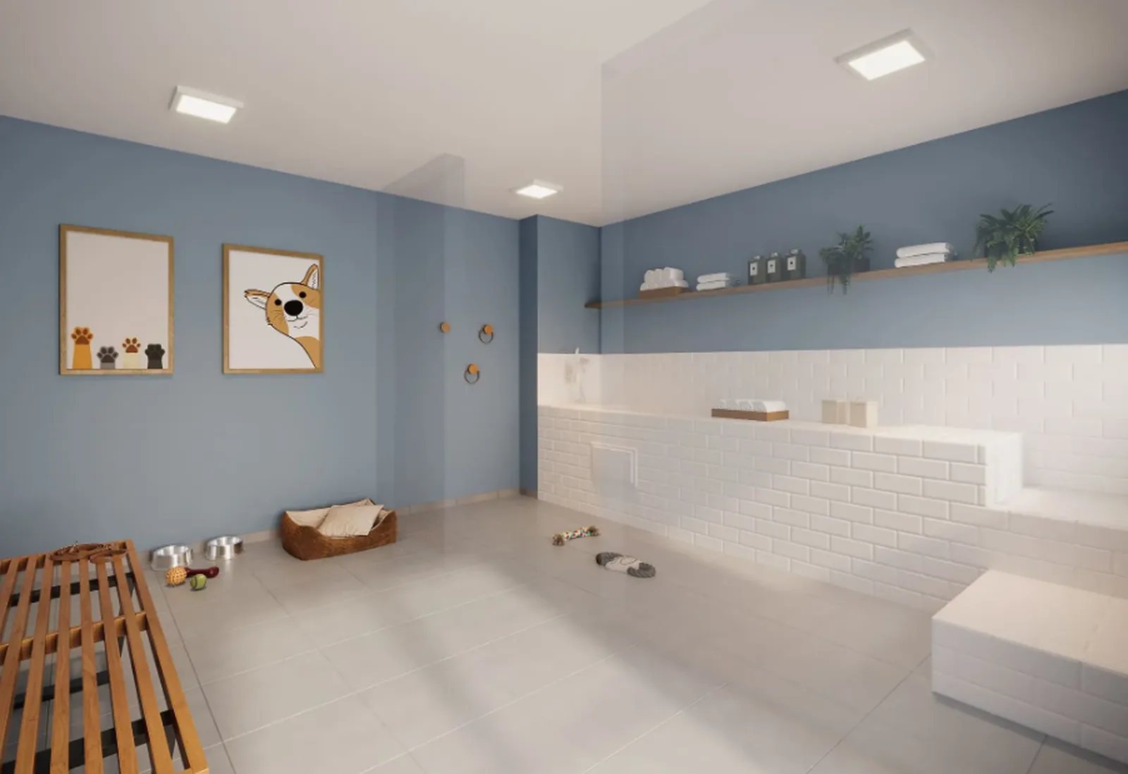 Plano&Jaçanã — Pet care