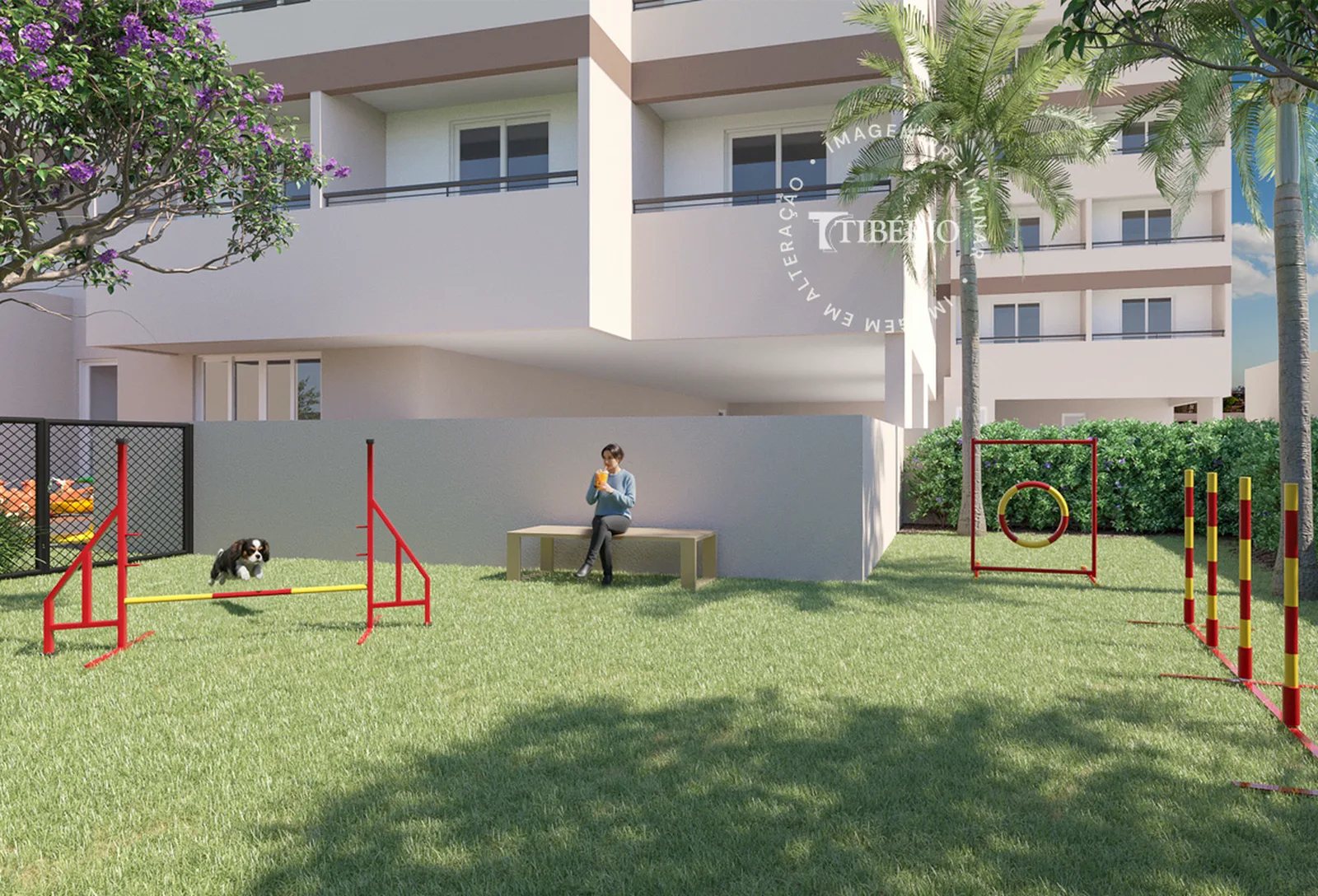 Hub Belém — Pet place