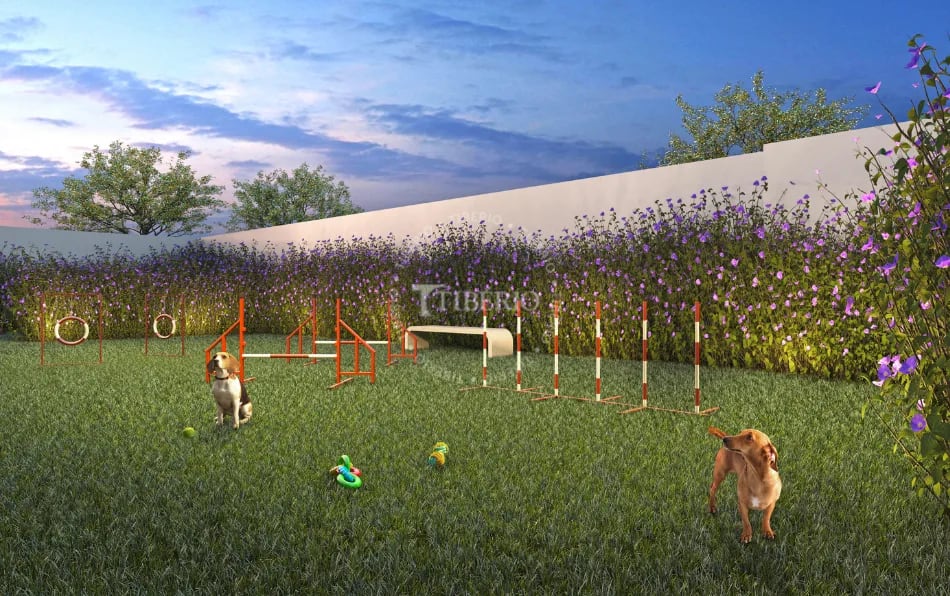 Max Belém - Residencial — Pet place