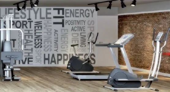 Origens Santana — Fitness