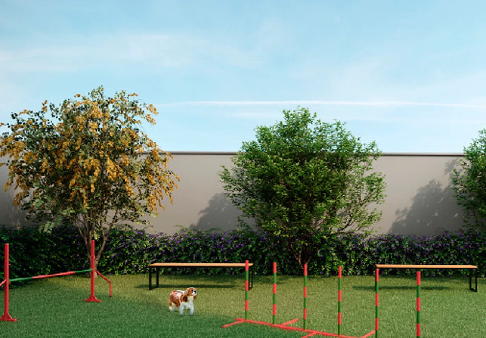 Top Mooca - Residencial — Pet place