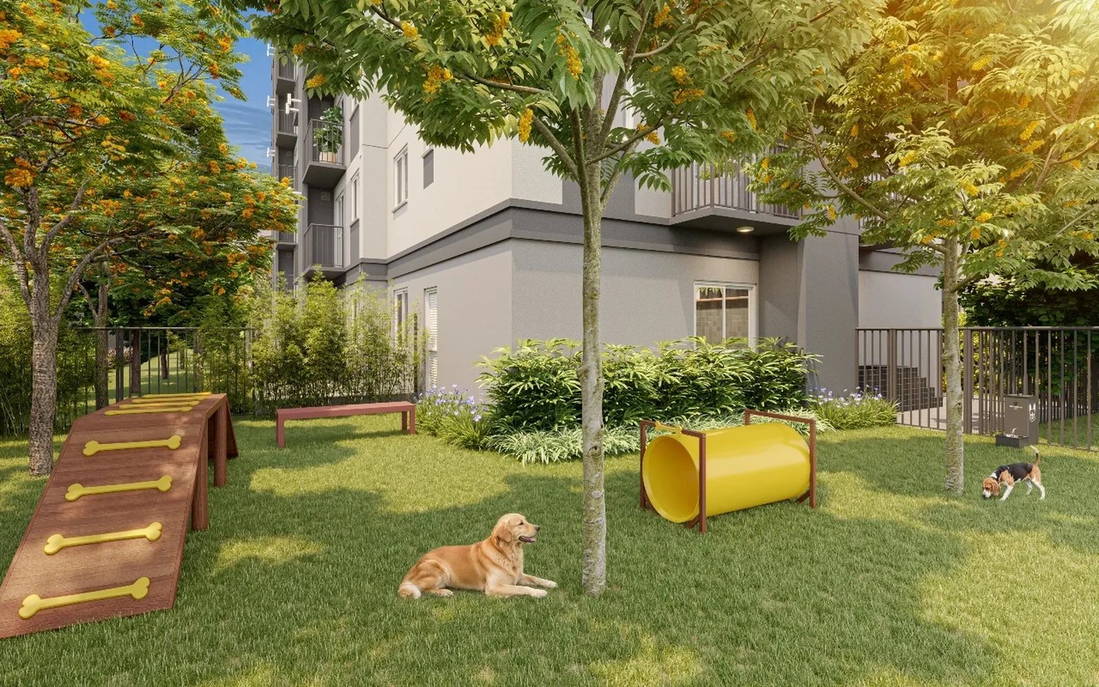 Elev Anhaia Mello — 260 pet place