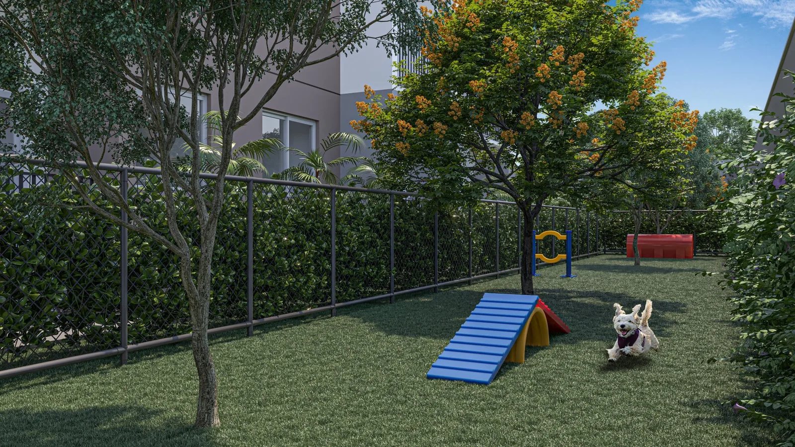 Vibra Belenzinho — 260 pet place