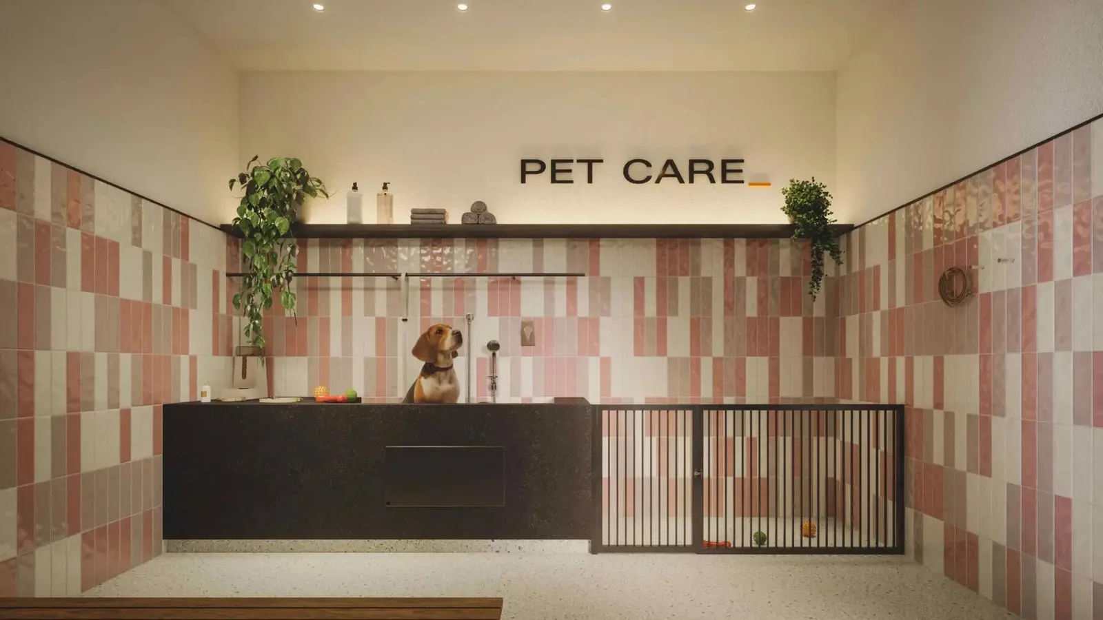 City Code Areião — 198 pet care