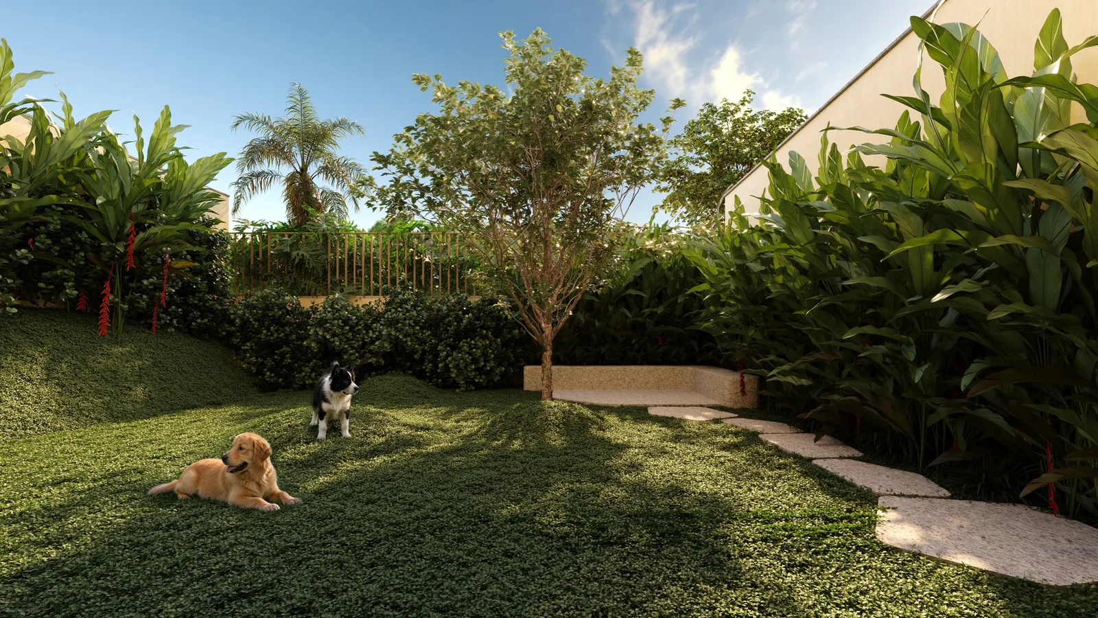 Le Blu Consciente — 260 pet place