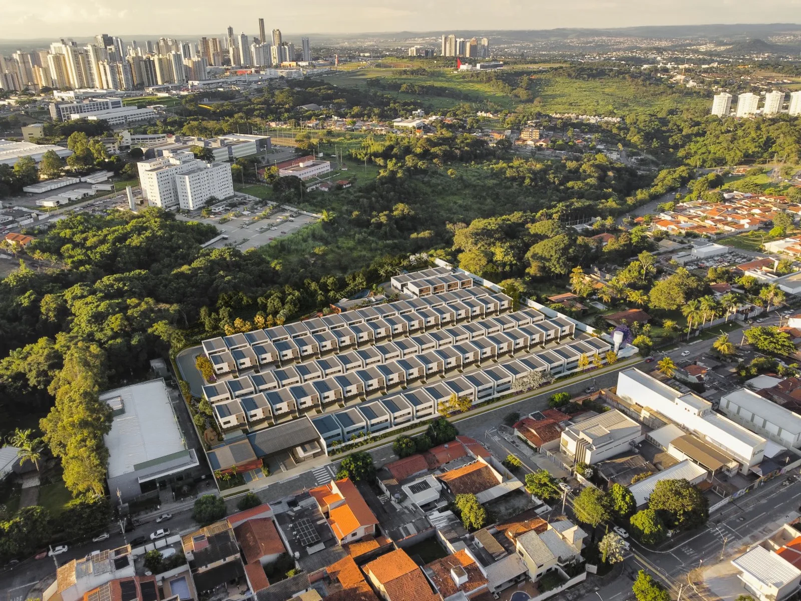 Surya By Palme — 310 aérea