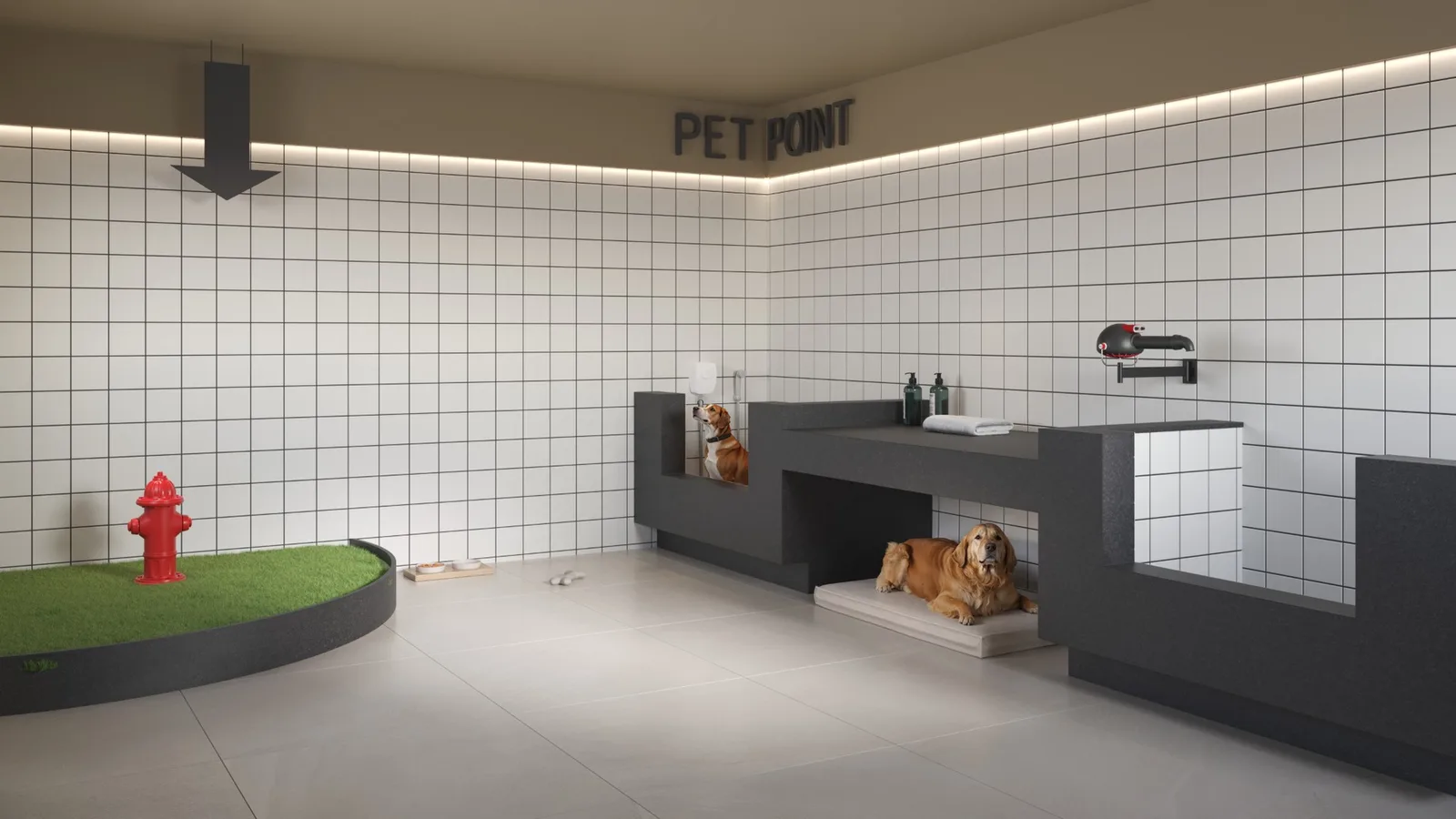 Hype Ricardo Paranhos — 195 pet care