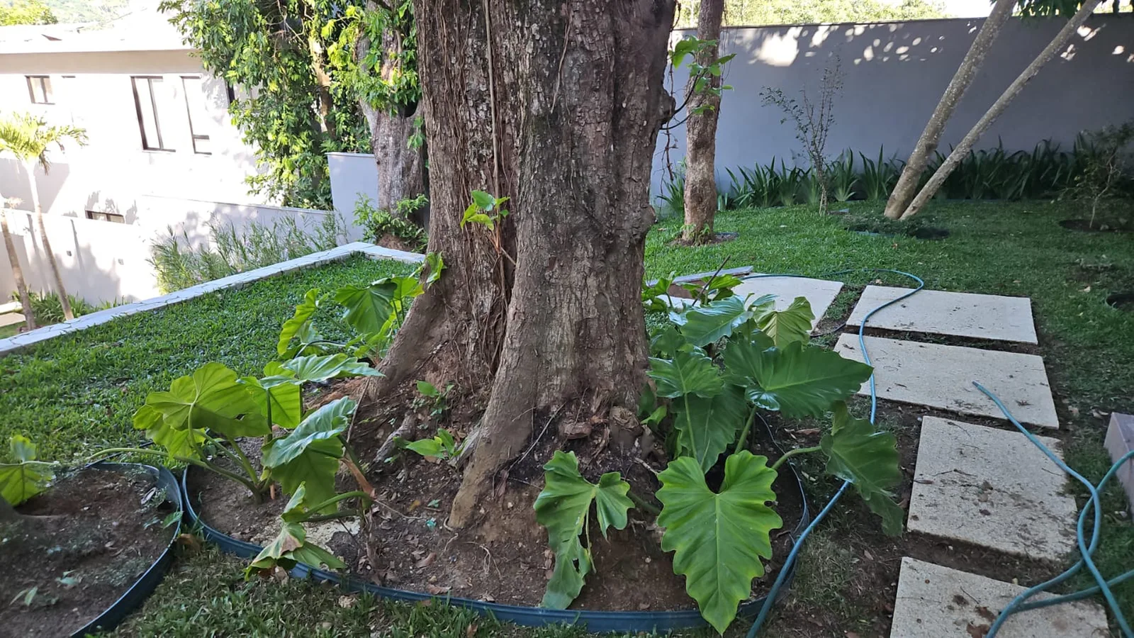 Reserva Itanhangá — 268 jardim