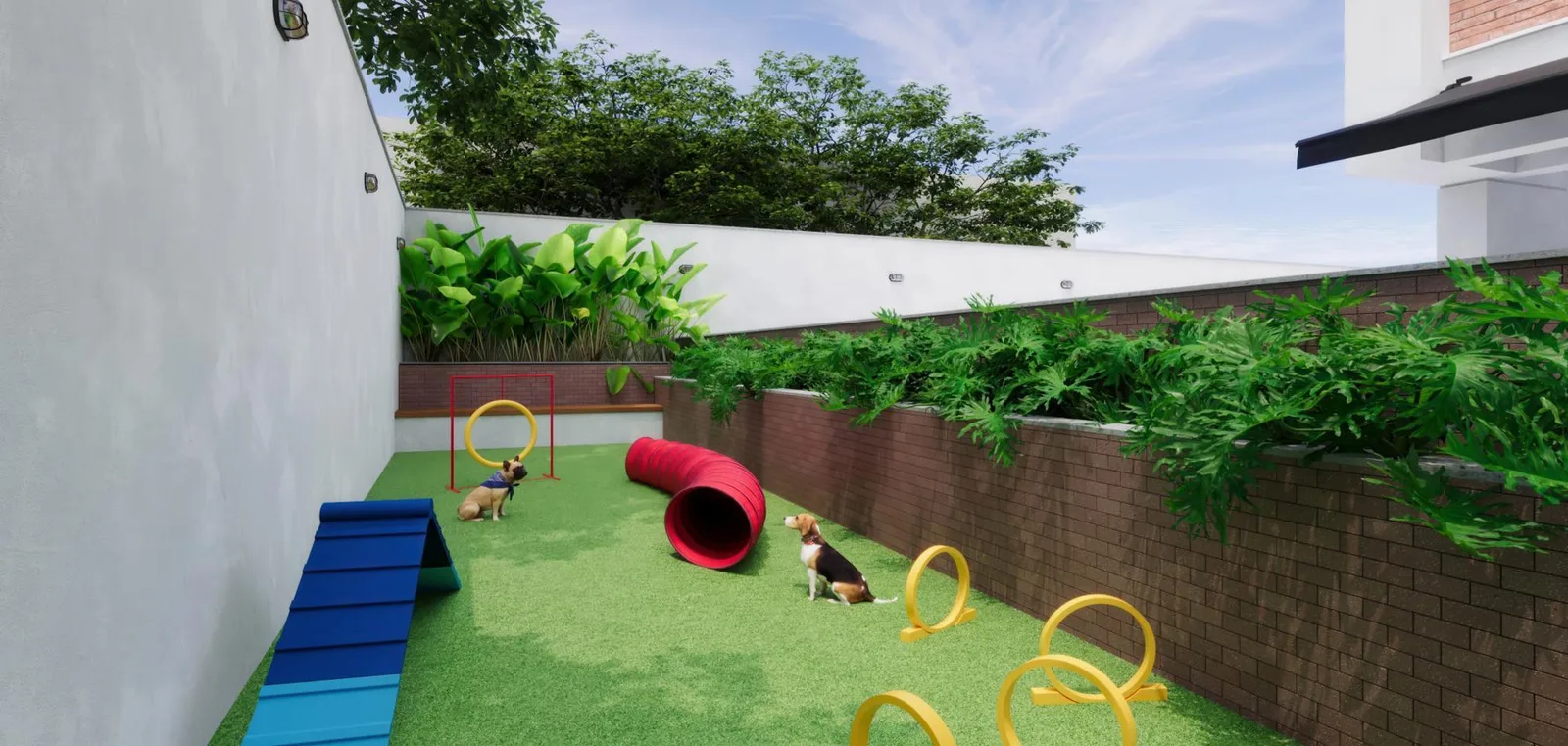 Nóvora - Breve Lançamento — 260 pet place