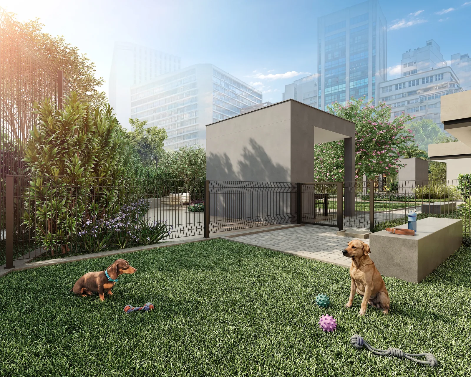 Connect Square — 260 pet place