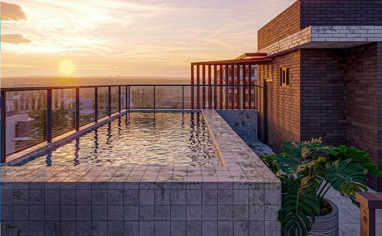 Corais da Tailândia — 290 piscina