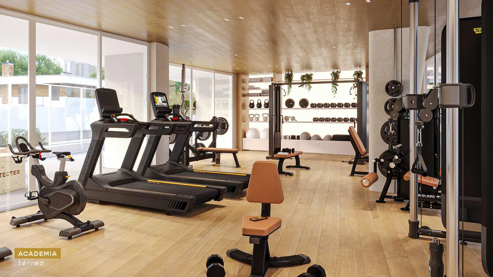 Mãlama Seixas — 150 fitness