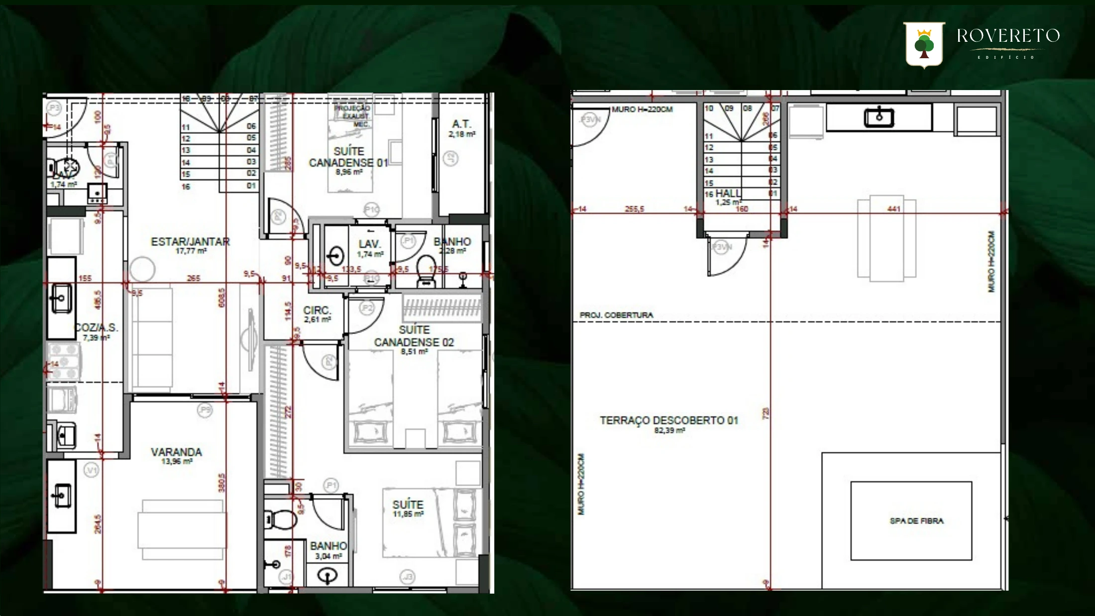 Planta · book, página 13