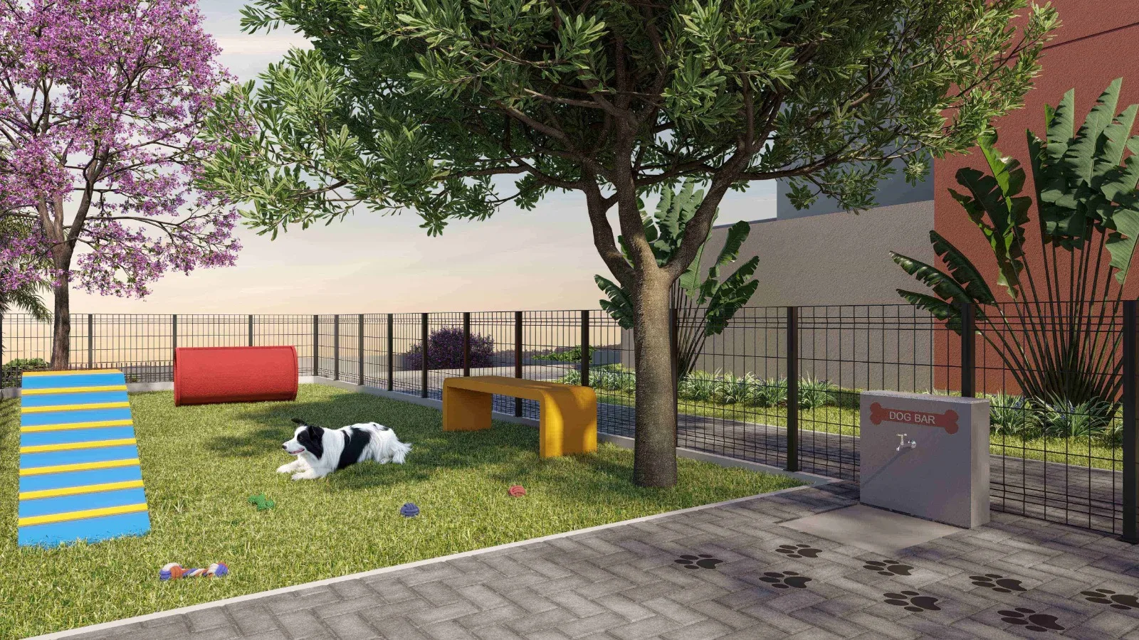 EXT04 PETPLACE HD