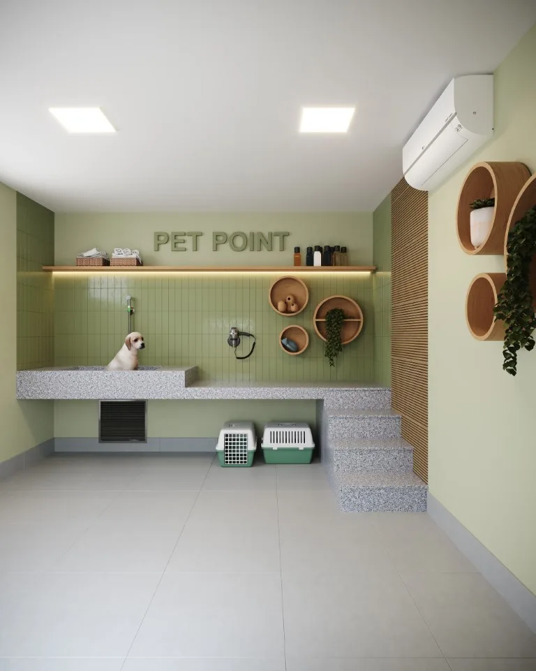 pet 26 06 2024 17 09 29