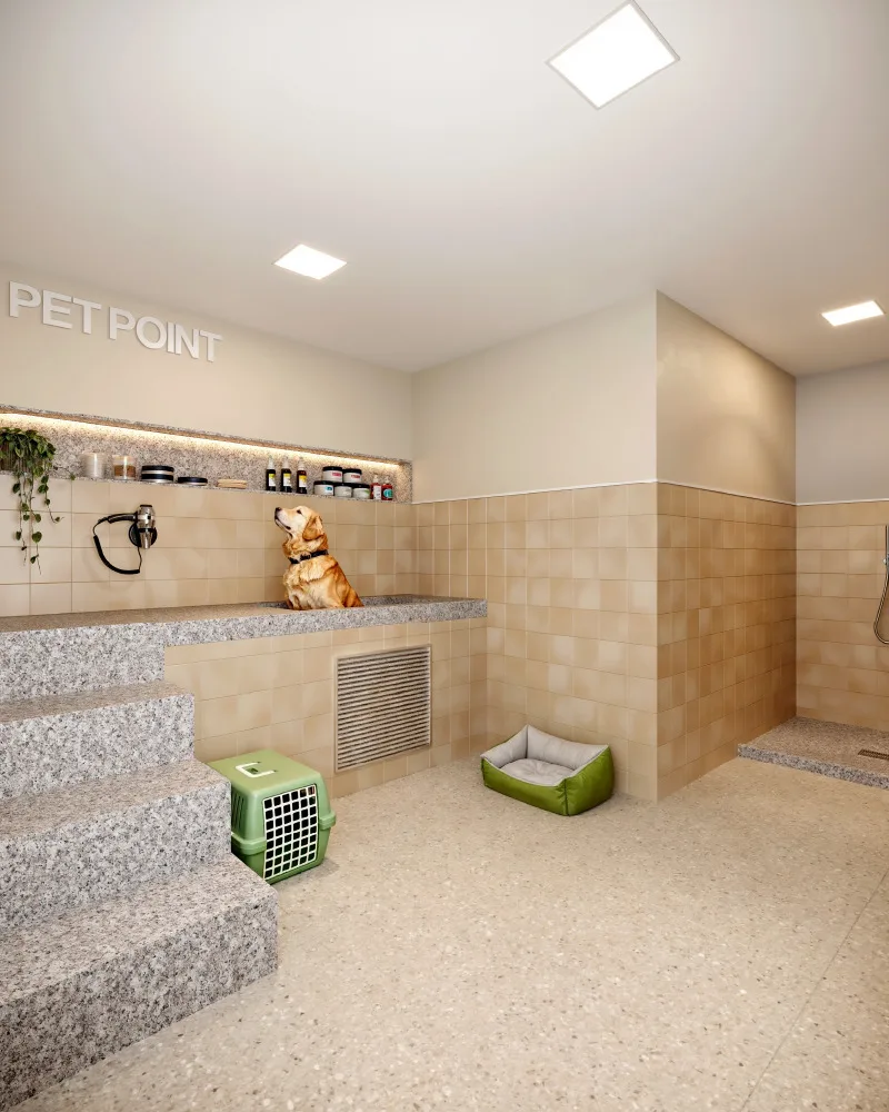 pet point 12 02 2025 21 06 53
