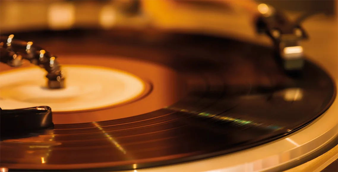 vinil