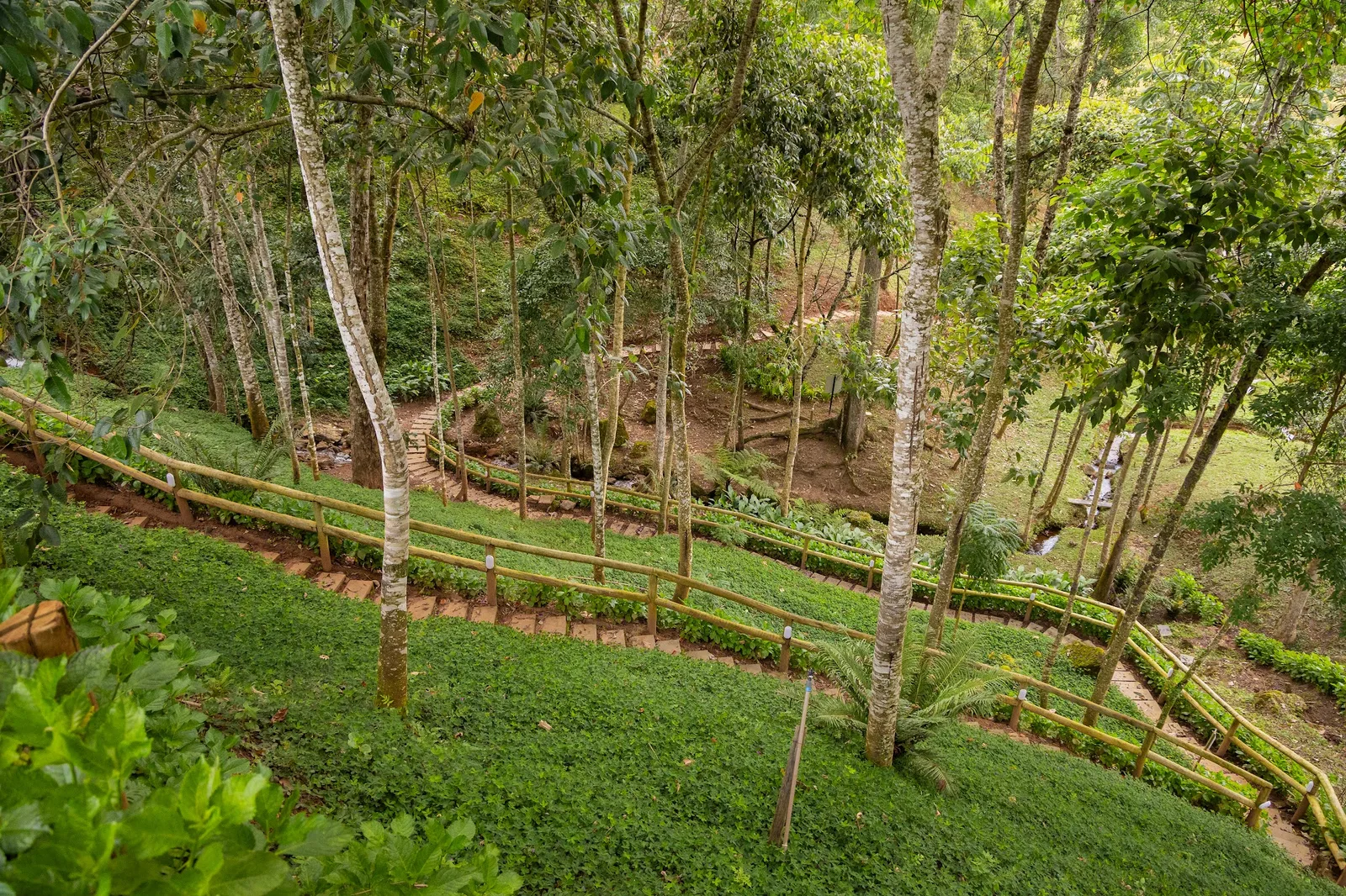 TRILHA