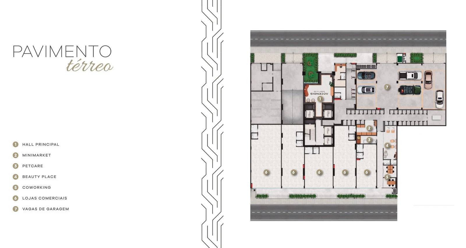 Accendis Home Living — Plantas 1