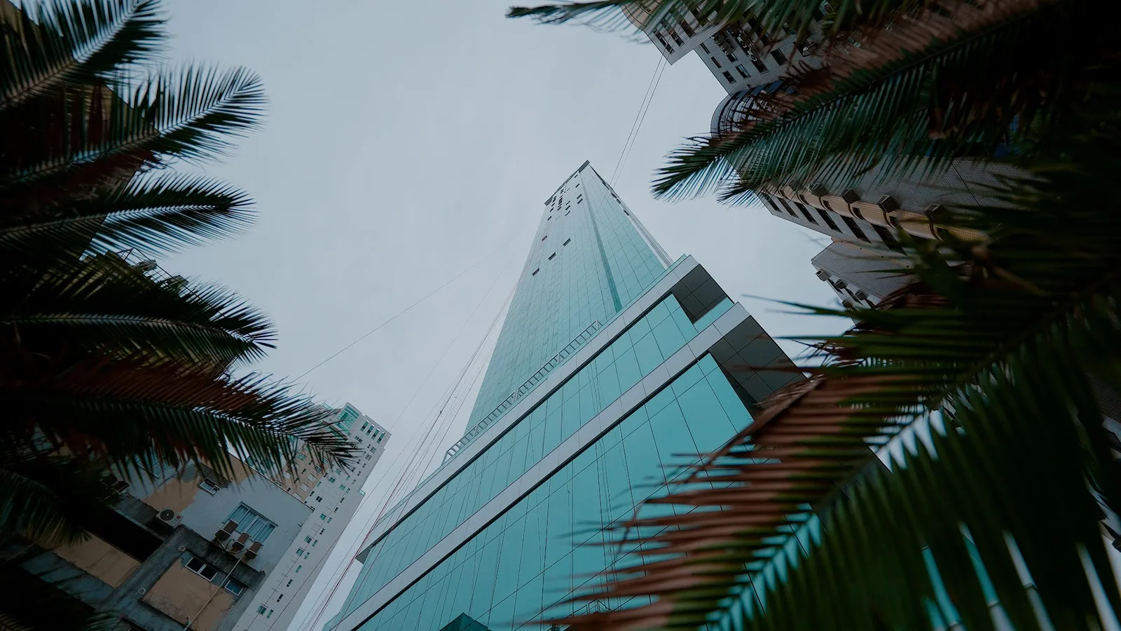 Boreal Tower · imagem 29
