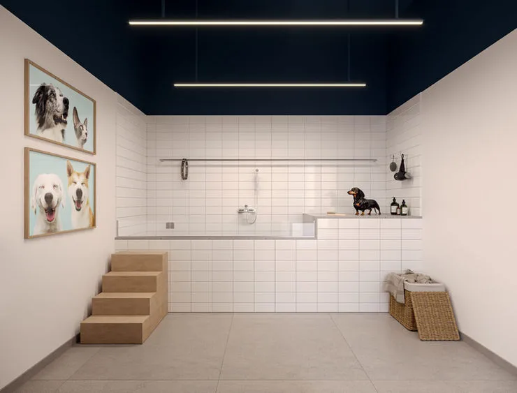 Villa Boreal · imagem 41