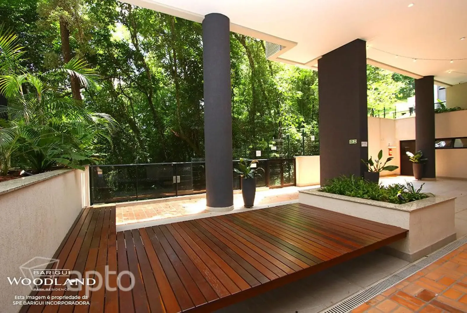 Barigui Woodland · imagem 40