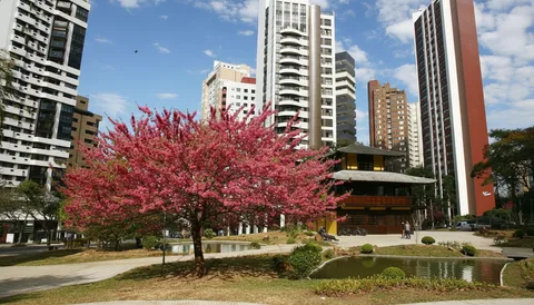 Entorno — serviços e referências do bairro