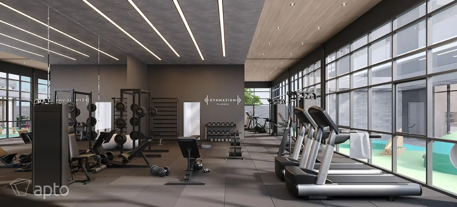 Palm 235 · imagem 12