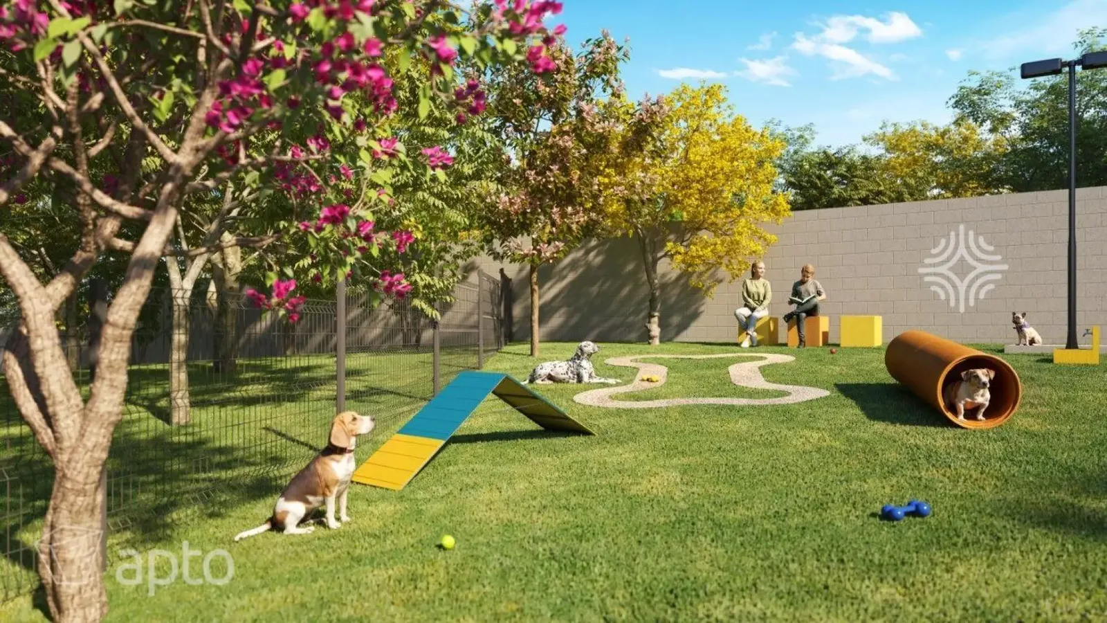 Vega Neoville · imagem 5