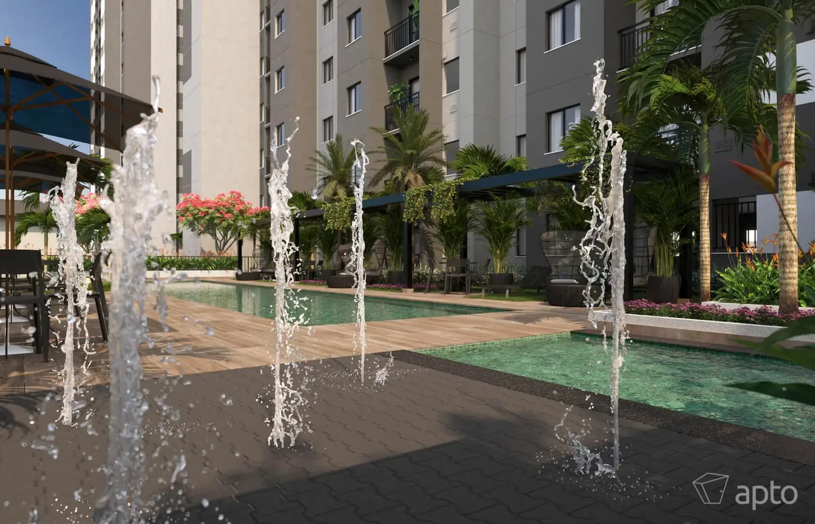 Living Wish Norte · imagem 4