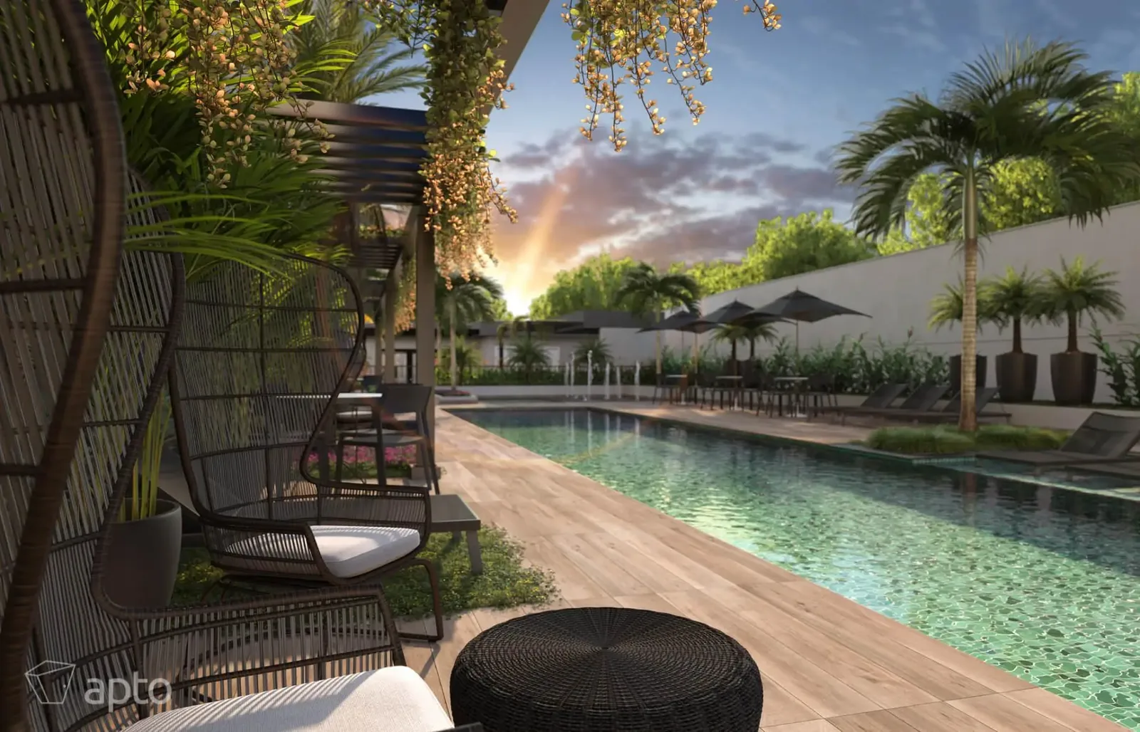 Living Wish Norte · imagem 5