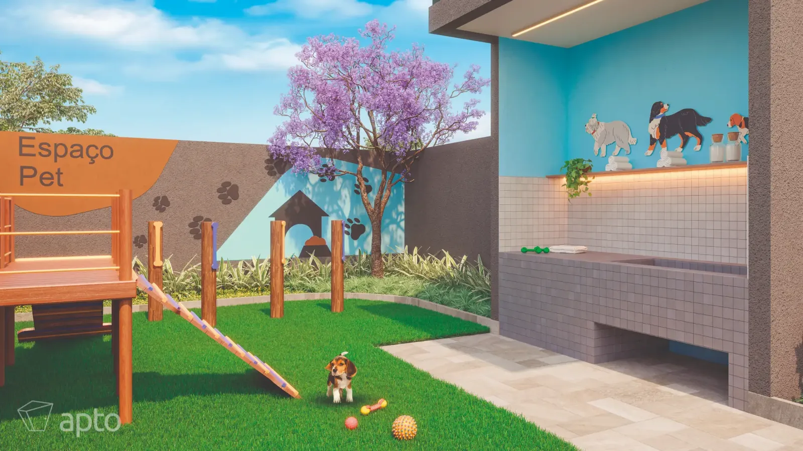 Magno Jardim · imagem 12