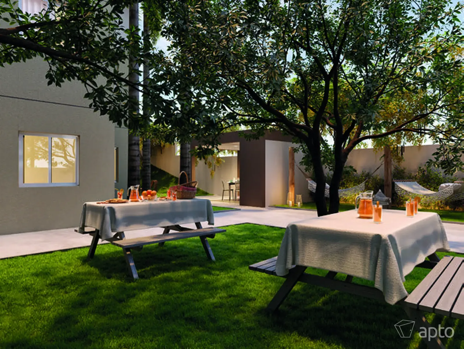 Plano&Bosque do Carmo Palmeira · imagem 20