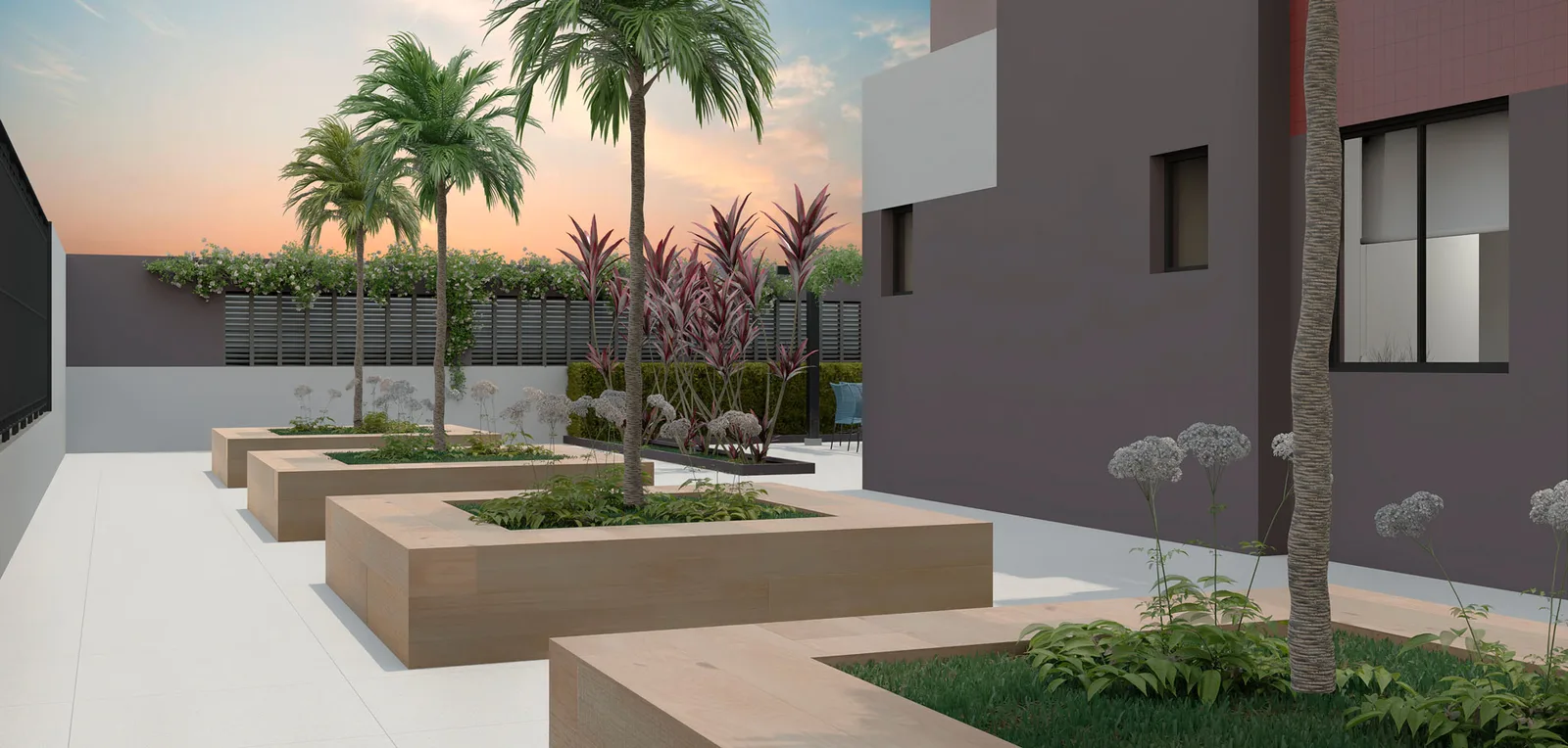 Icony Campestre · imagem 17
