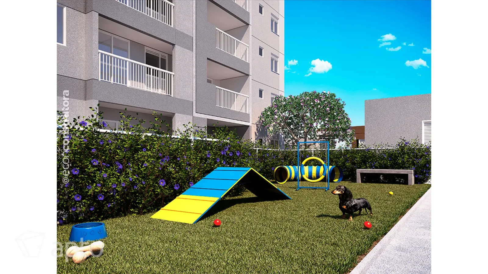 Vision Campestre · imagem 13